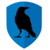 RiseupVPN
