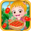 Baby Hazel Tomato Farmings