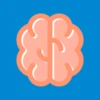 RevisApp - High School