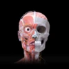 Anatomy 3D Atlas