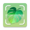 Plant Identifier